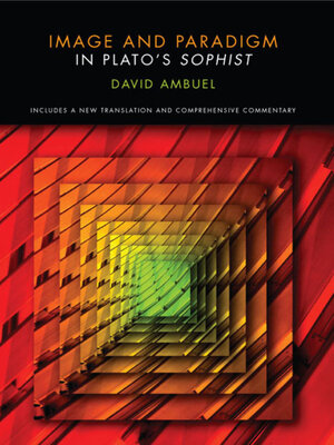 cover image of Image and Paradigm in Plato's 'Sophist'